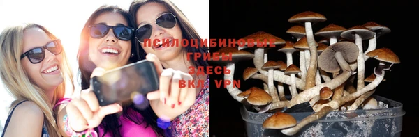 каннабис Алексеевка