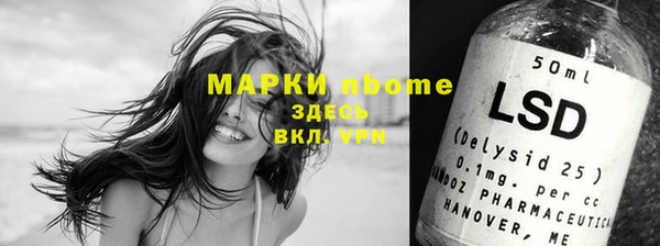 прущие грибы Алзамай