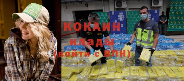 хмурый Алексин