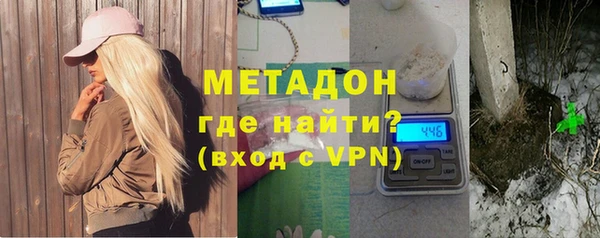 прущие грибы Алзамай