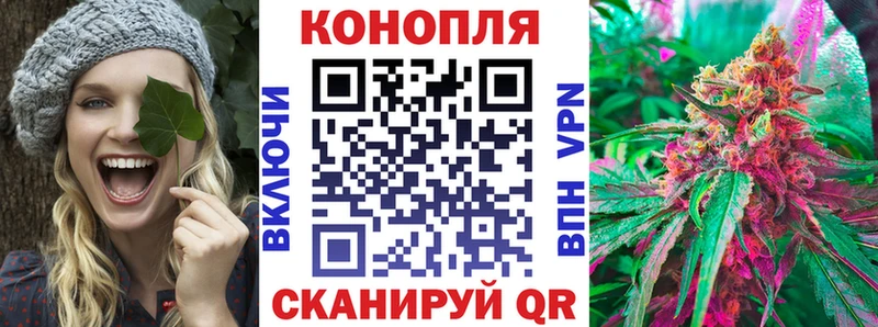 Шишки марихуана марихуана  Ардатов 